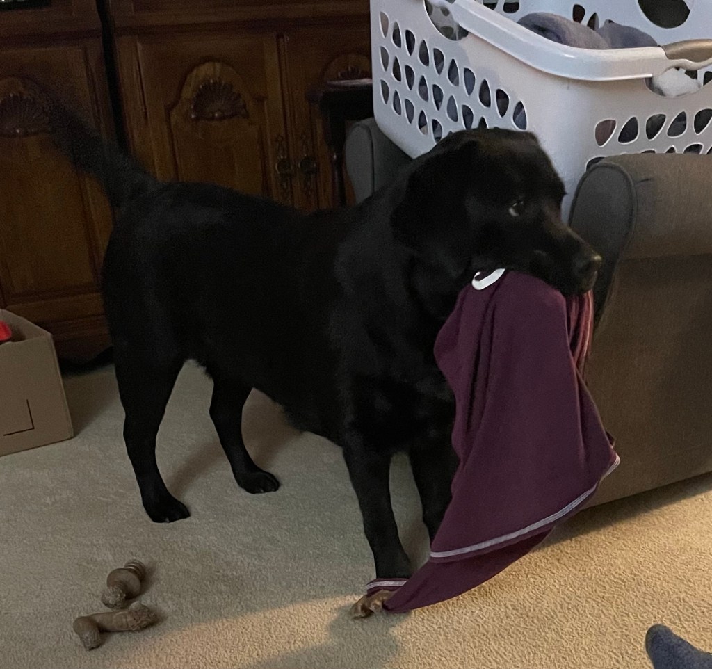 My grandma’s nightgown