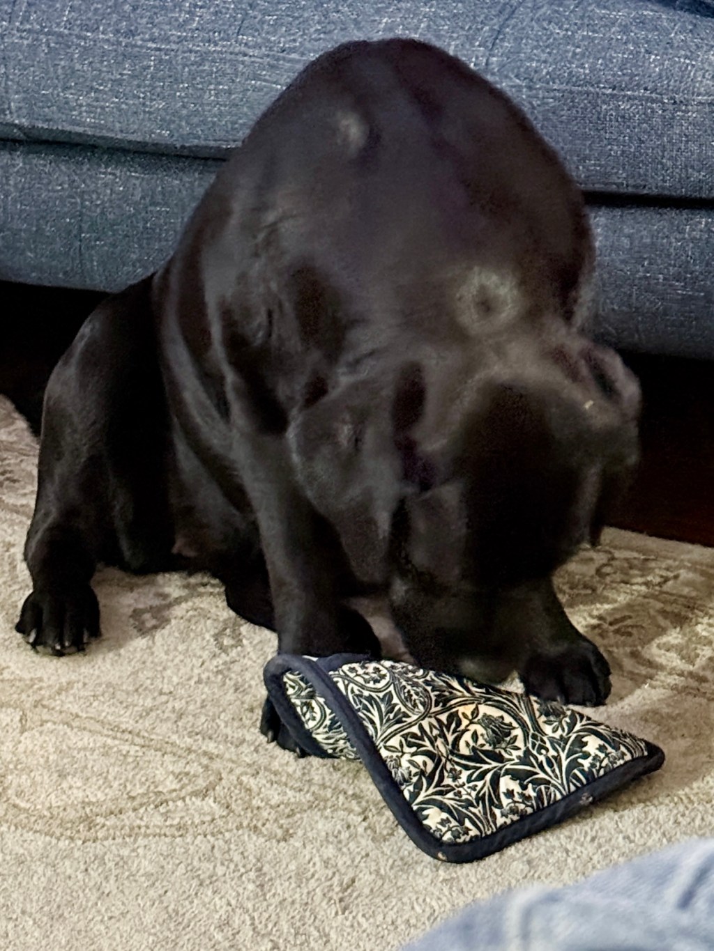 Pot holder